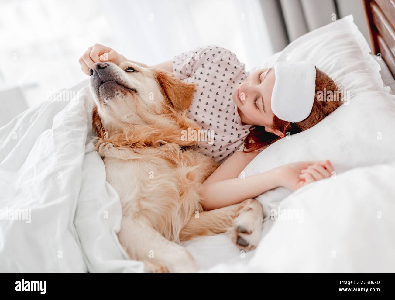 Girl with golden retriever dog in the bed Stock Photo - Alamy