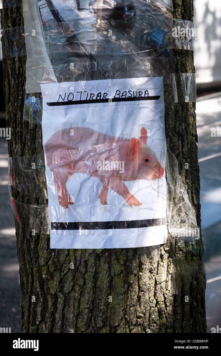 No Tirar Basura - a Spanish hand drawn sign taped to a tree that, translated, says No Littering. In corona, Queens, New York City. Stock Photo