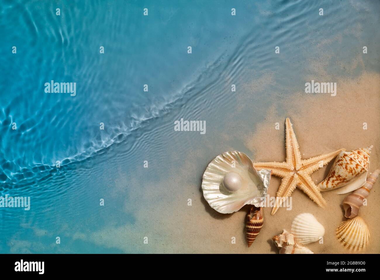 Curtain Of Sea Shells For Decoration Local Bali Stock Photo