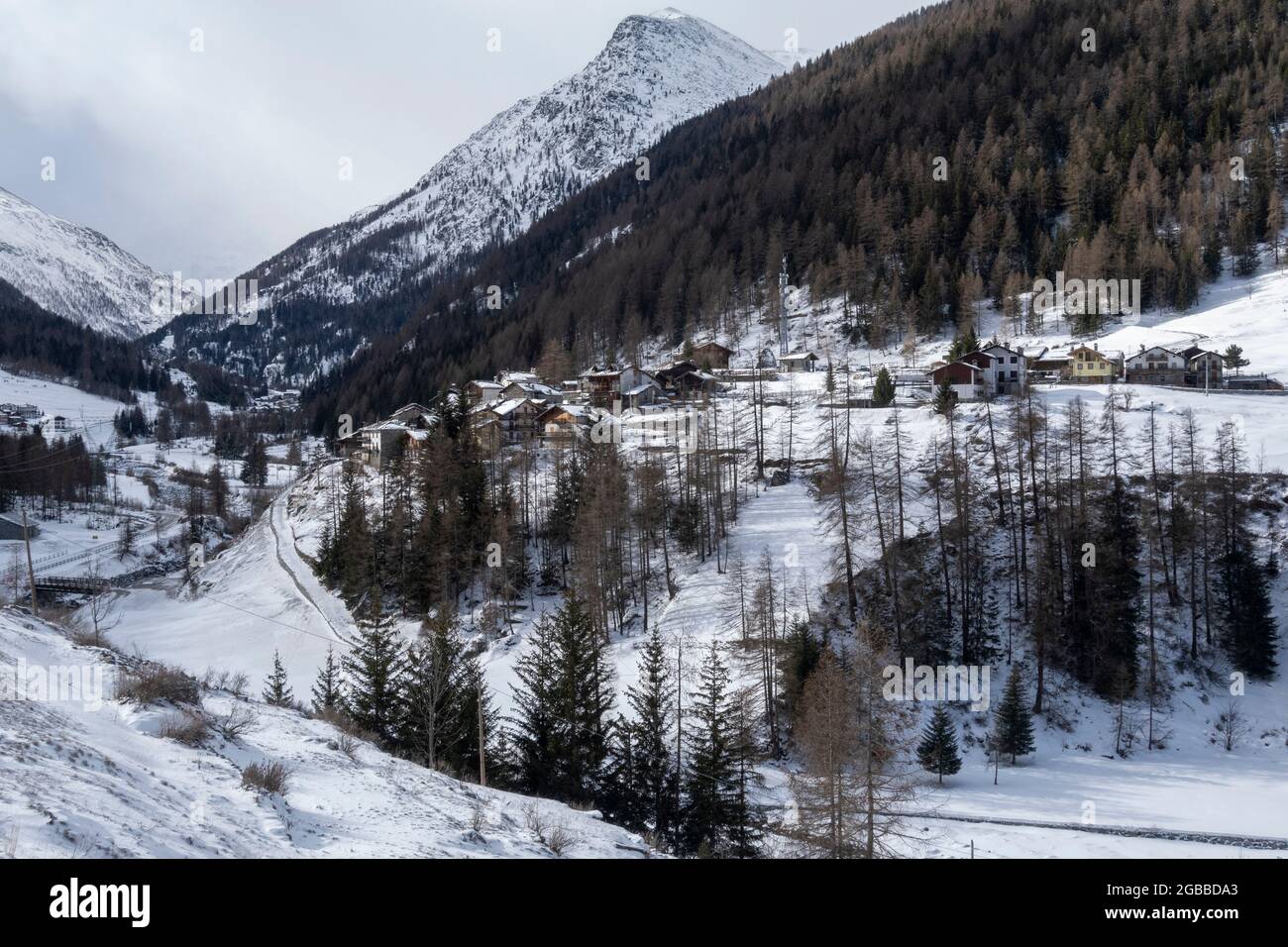 Gran Paradiso National Park, Aosta Valley, Italy, Europe Stock Photo