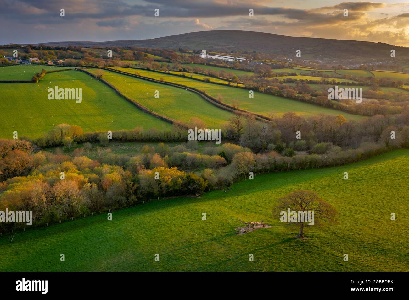Rolling Dartmoor countryside in evening light in spring, Devon, England, United Kingdom, Europe Stock Photo