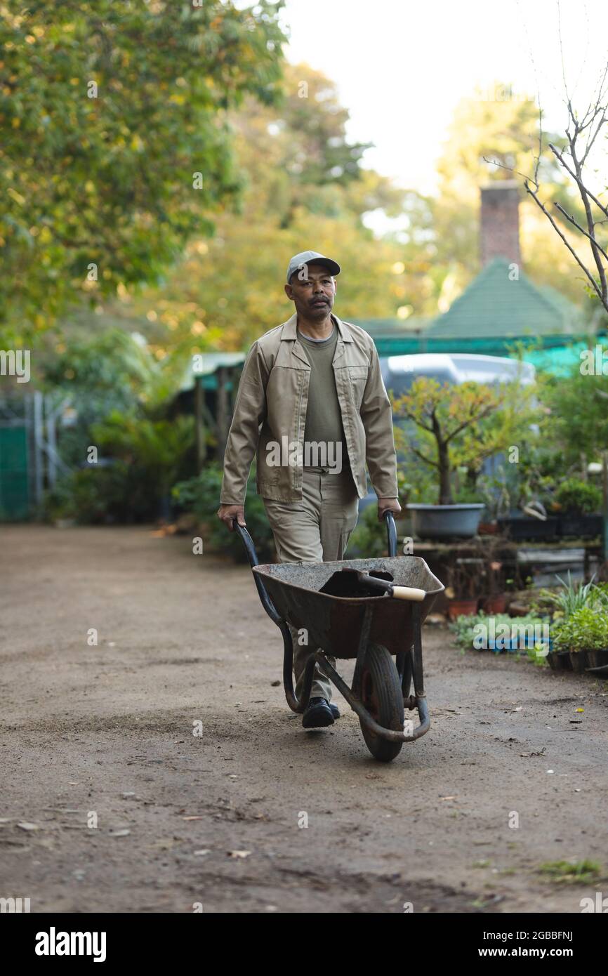 African american male gardener using wheelbarrow at garden centre Stock Photo