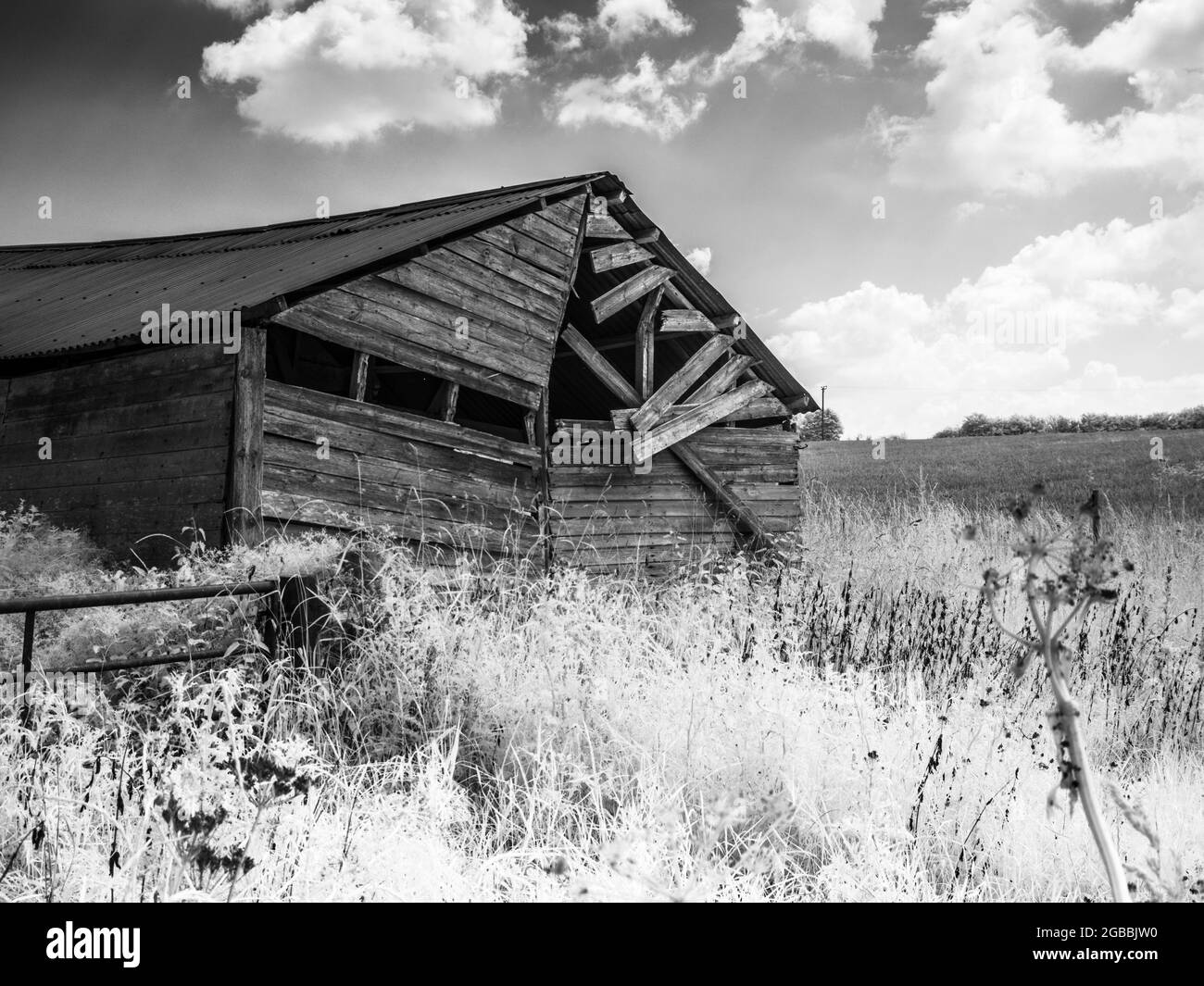 A dilapidated barn on the edge of a field, shot in infrared. Stock Photo
