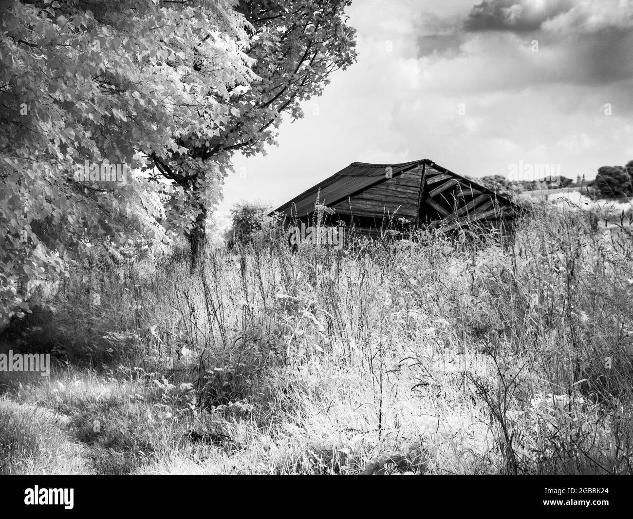 A dilapidated barn on the edge of a field, shot in infrared. Stock Photo