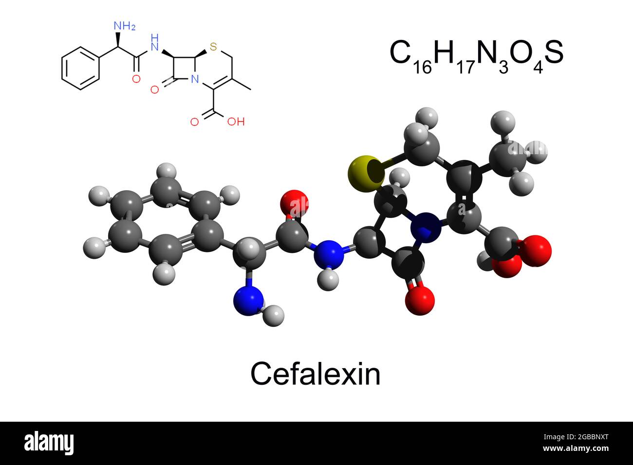 Chemical formula, structural formula and 3D ball-and-stick model of antibiotic cefalexin, white background Stock Photo
