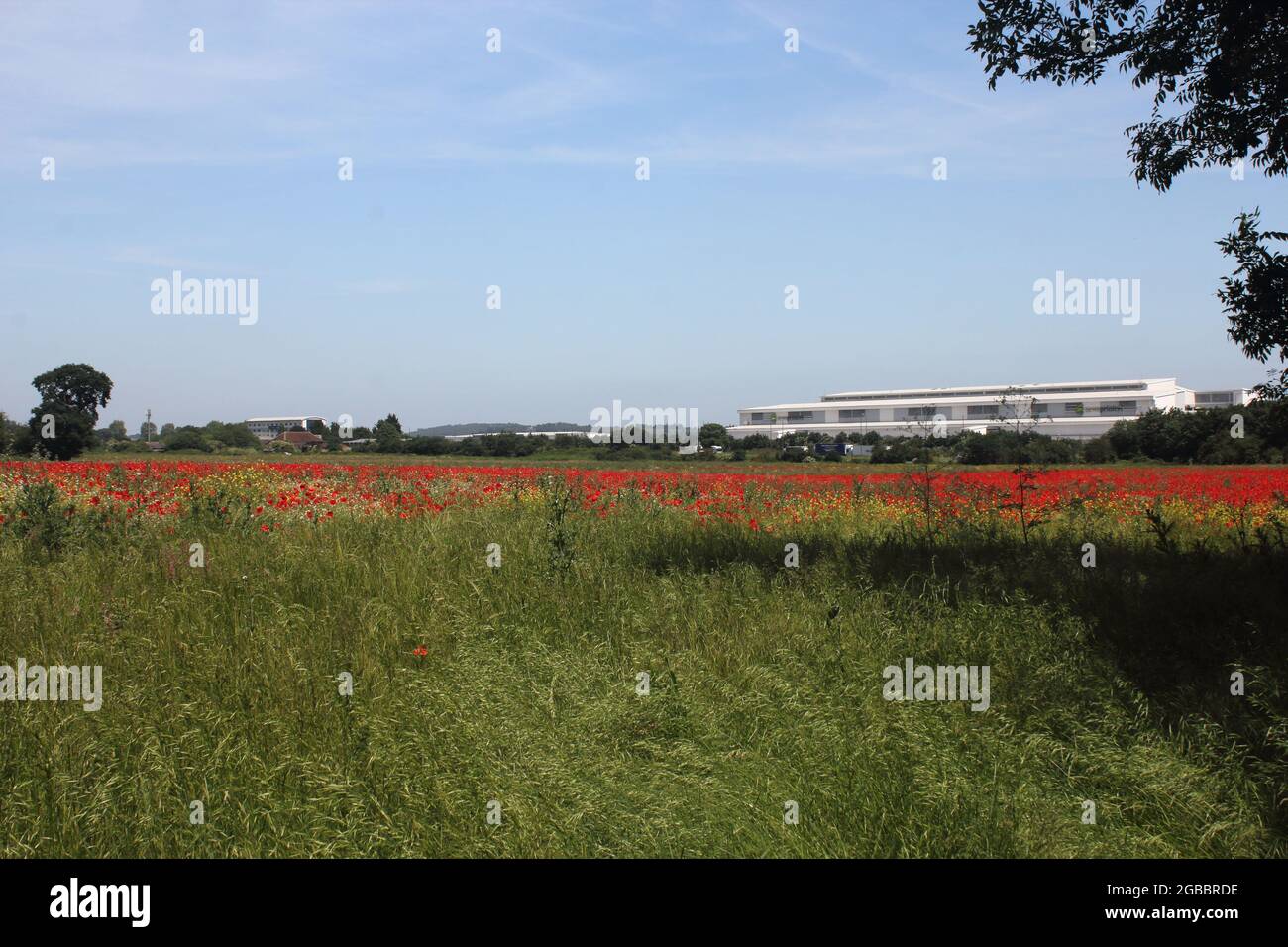 Theobalds Park, Waltham Cross, proposed new Sunset Film Studios site in Hertfordshire Stock