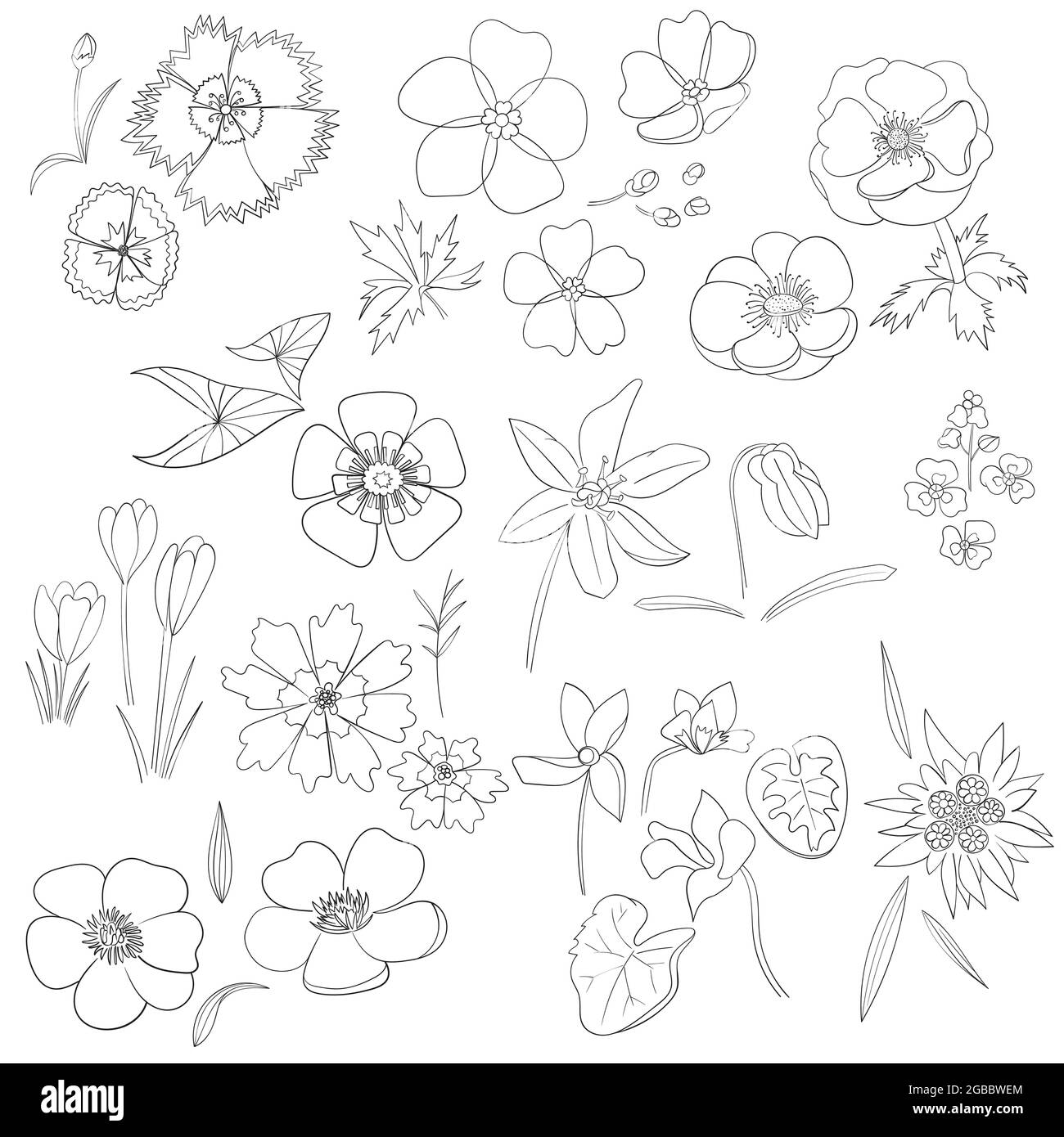 Vector illustrations, Floral set, flowers, leaves and branches. hand drawn design elements in sketch style. Perfect for invitations, greeting cards, t Stock Vector