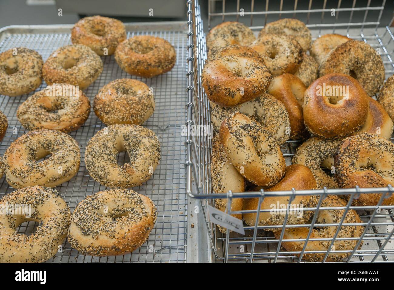 bagels by the book reopening