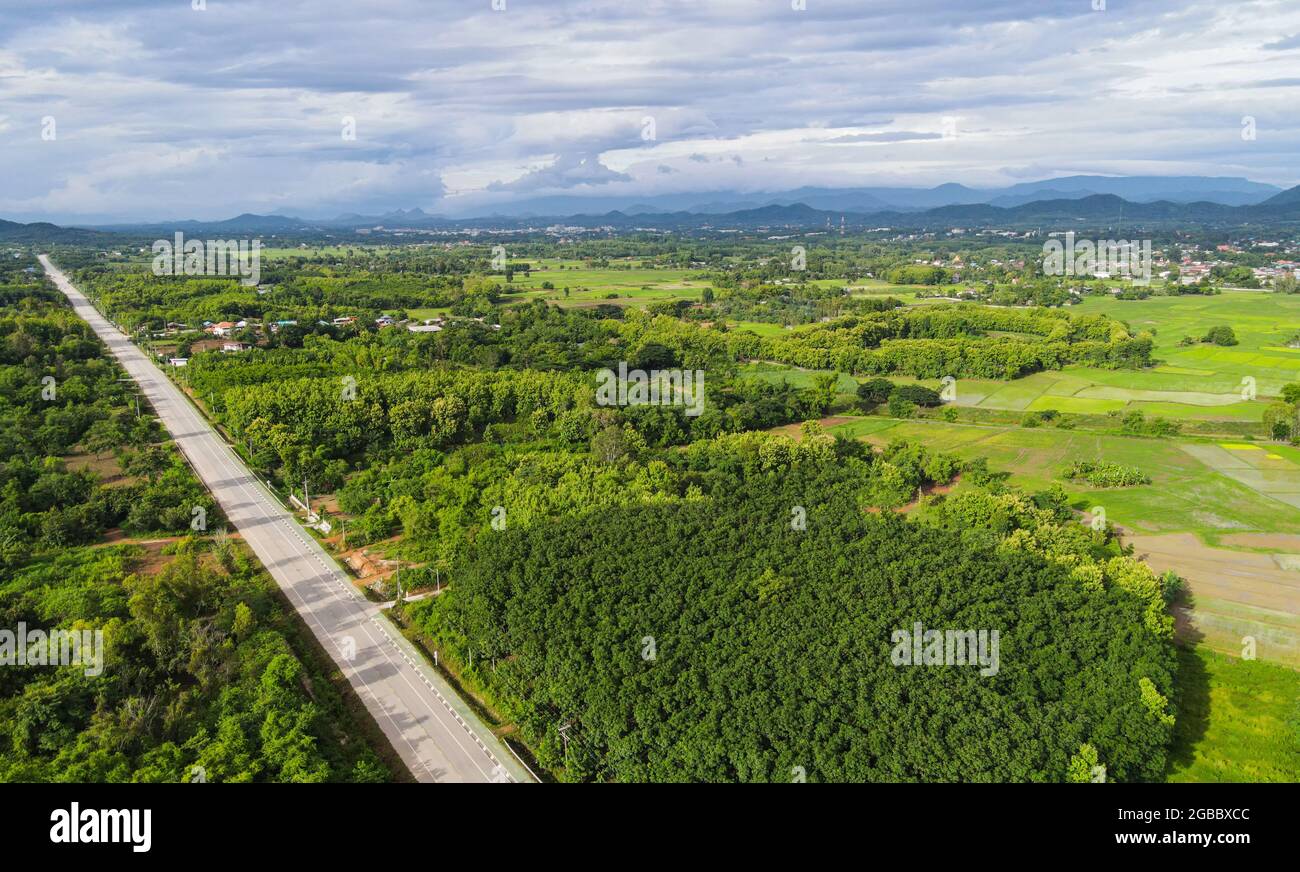 Aerial view field environment nature agricultural farm mountain