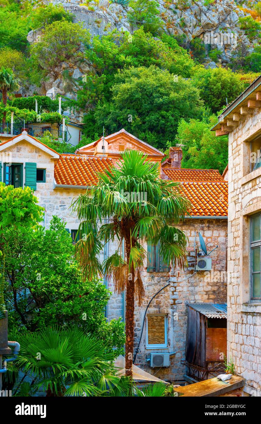 Old houses in narrow streets of Kotor, Montenegro Stock Photo Alamy