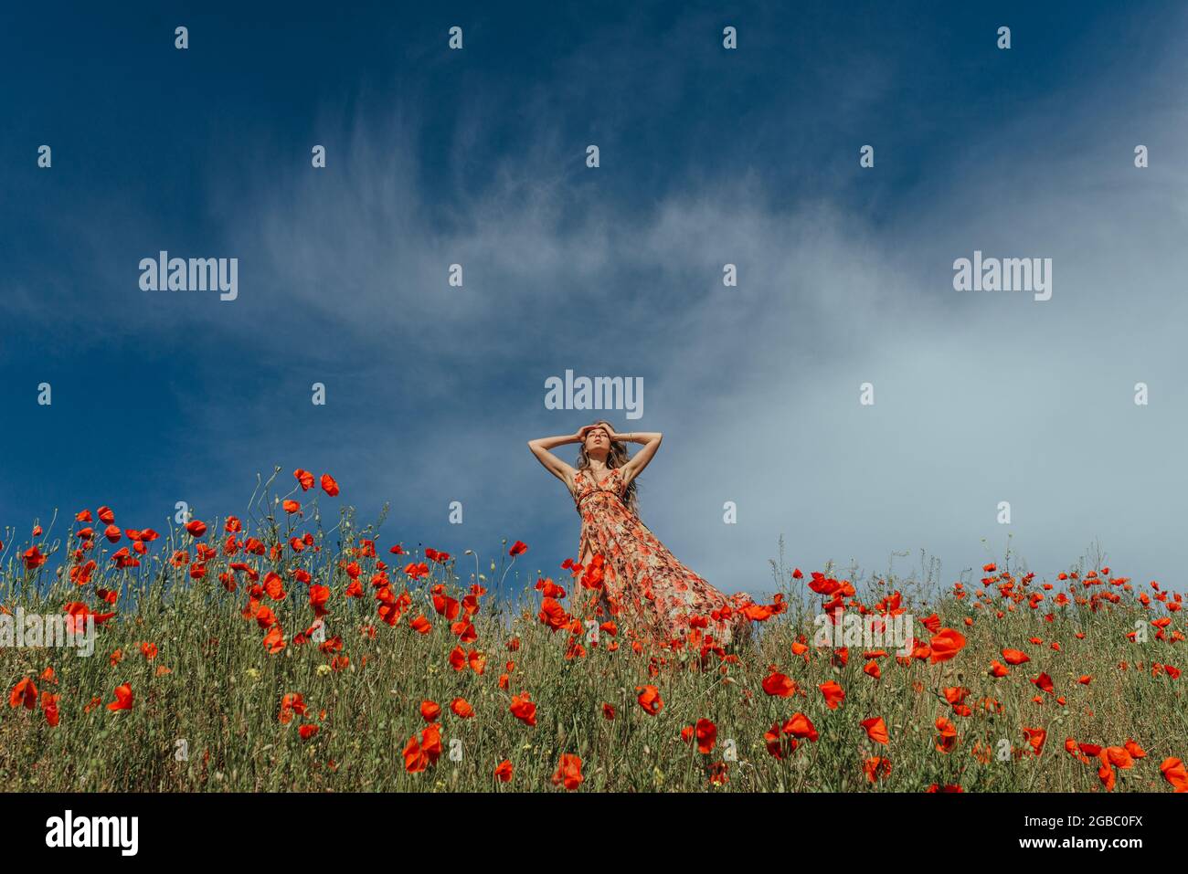 Beautiful poppy field clouds hi-res stock photography and images - Alamy