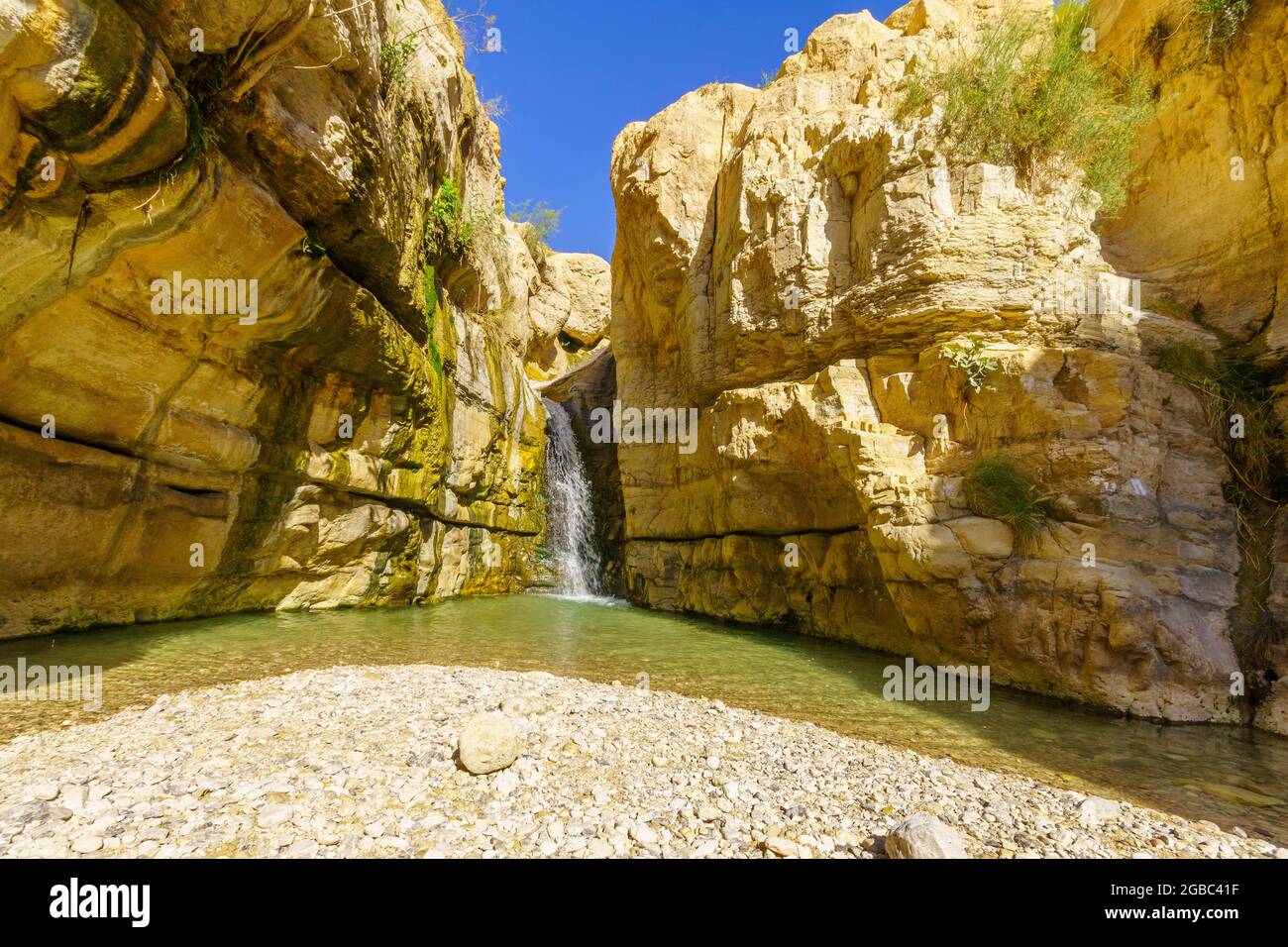 View of the hidden waterfall along the Arugot stream, in Ein Gedi Nature Reserve, near the Dead Sea, Southern Israel Stock Photo