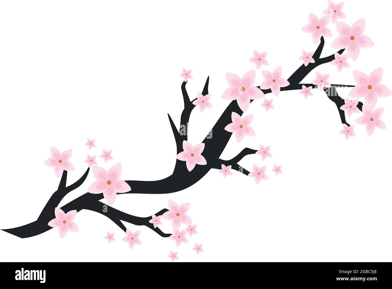 Delicate flowers cherry blossoms Stock Vector Images - Alamy