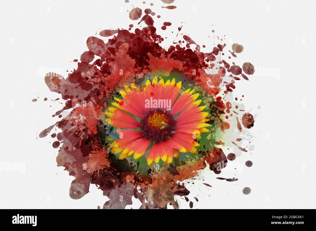 Digital watercolor painting of a beautiful flower with red and yellow ...