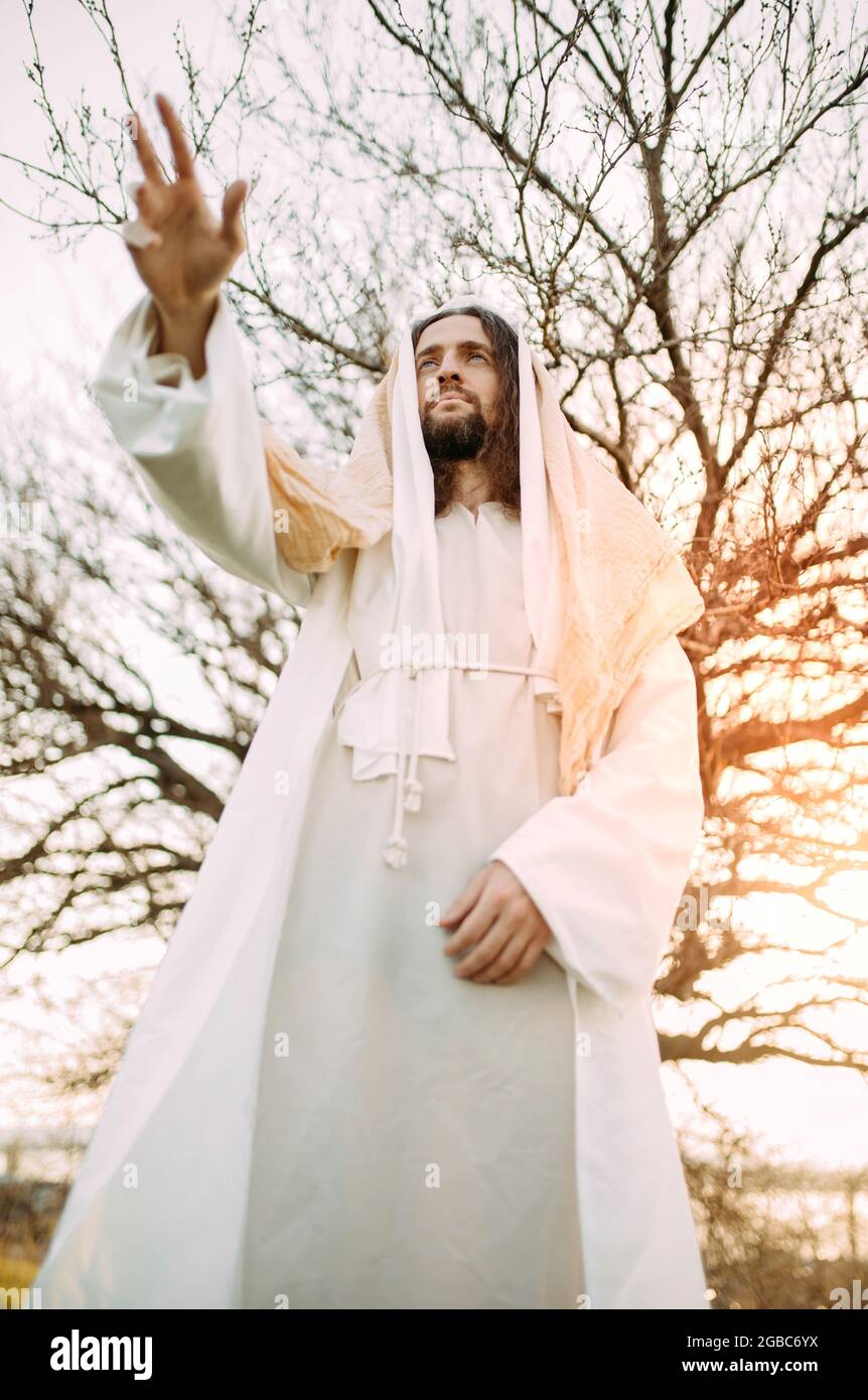 Jesus Christ standing in meadow and preaching Christian faith