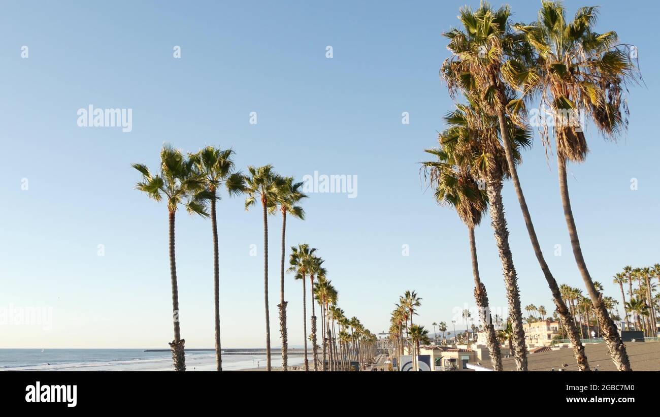 Palm tree perspective in Oceanside, California waterfront pacific ocean ...