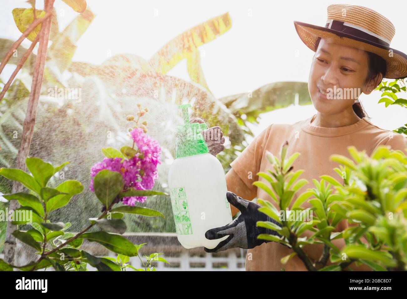 Beautiful asian woman in hat watering plant by foggy spray bottle in garden. outdoor Stock Photo