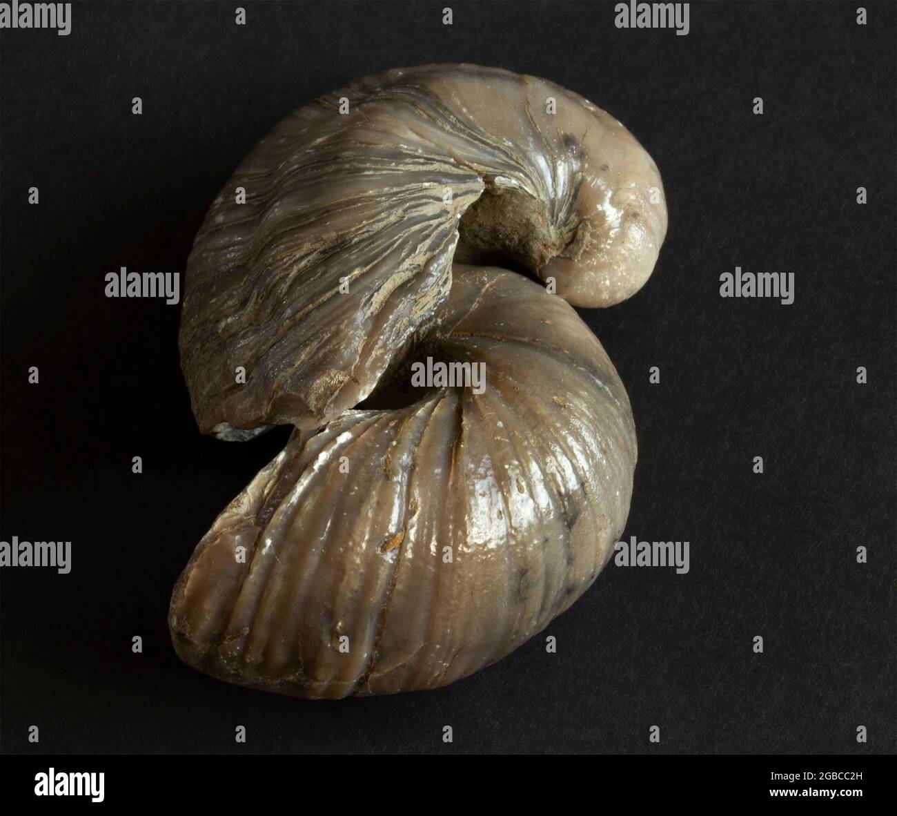 Mesozoic sedimentary rocks hires stock photography and images Alamy