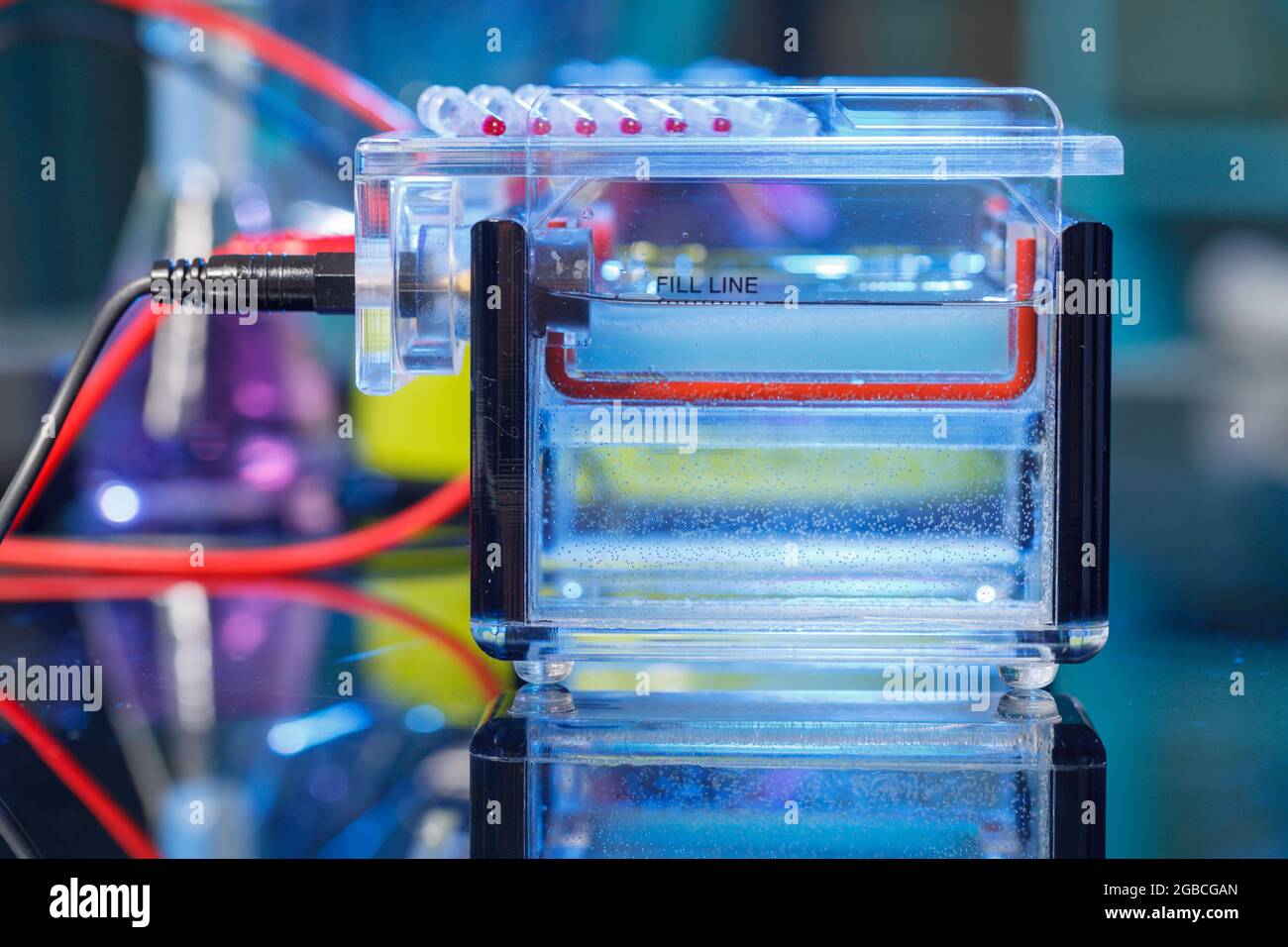 Gel electrophoresis of nucleic acids Stock Photo Alamy