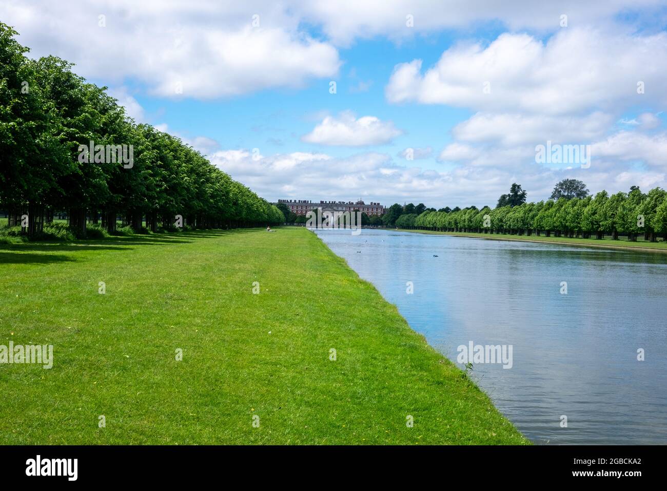 home park, hampton court, blue sky, summer, green Stock Photo Alamy