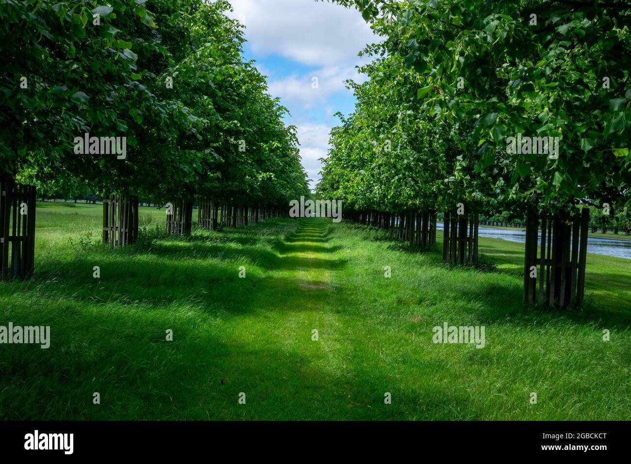 Luscious green grass sunny blue hi-res stock photography and images - Alamy