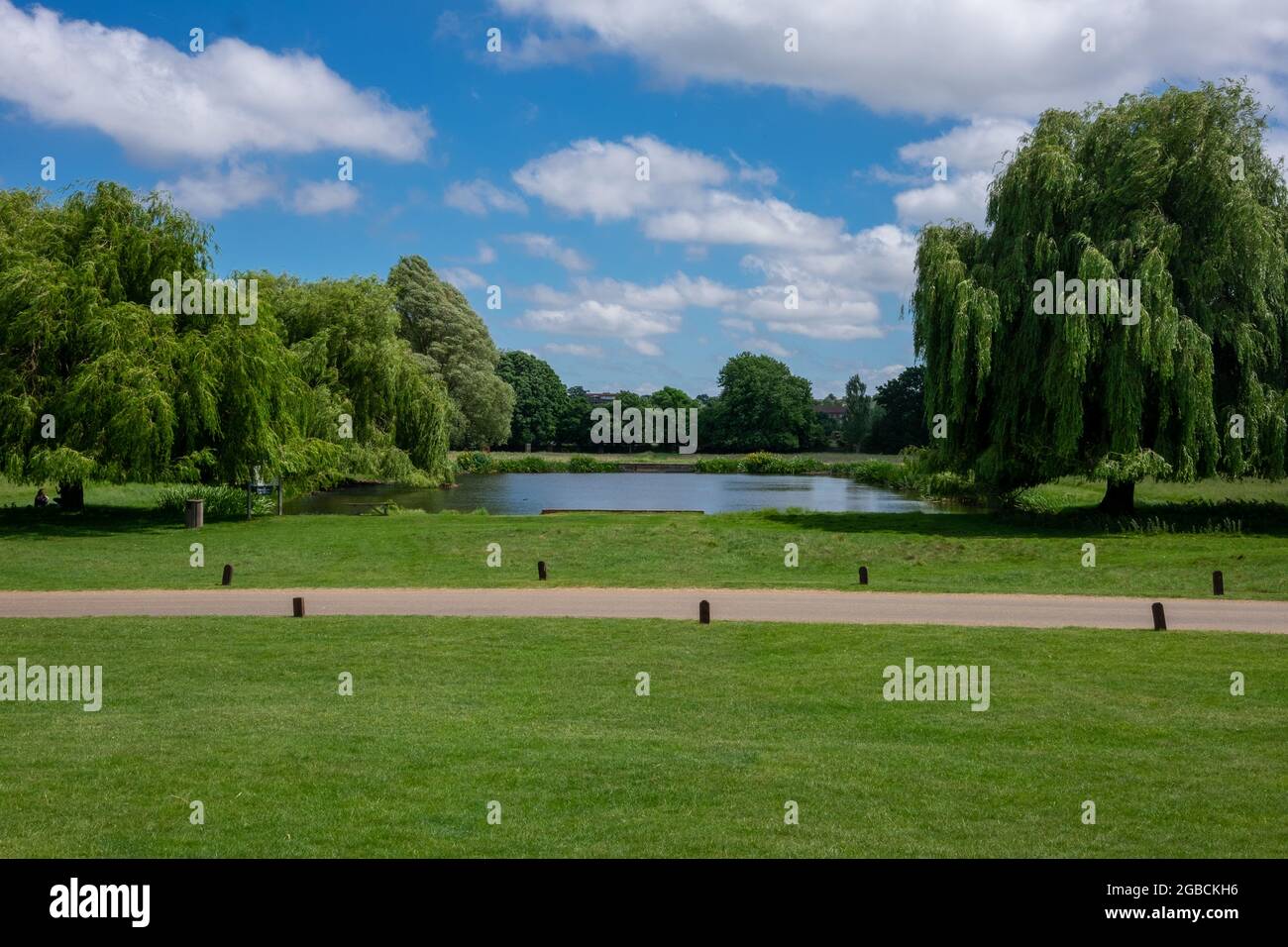 home park, hampton court, blue sky, summer, green Stock Photo Alamy