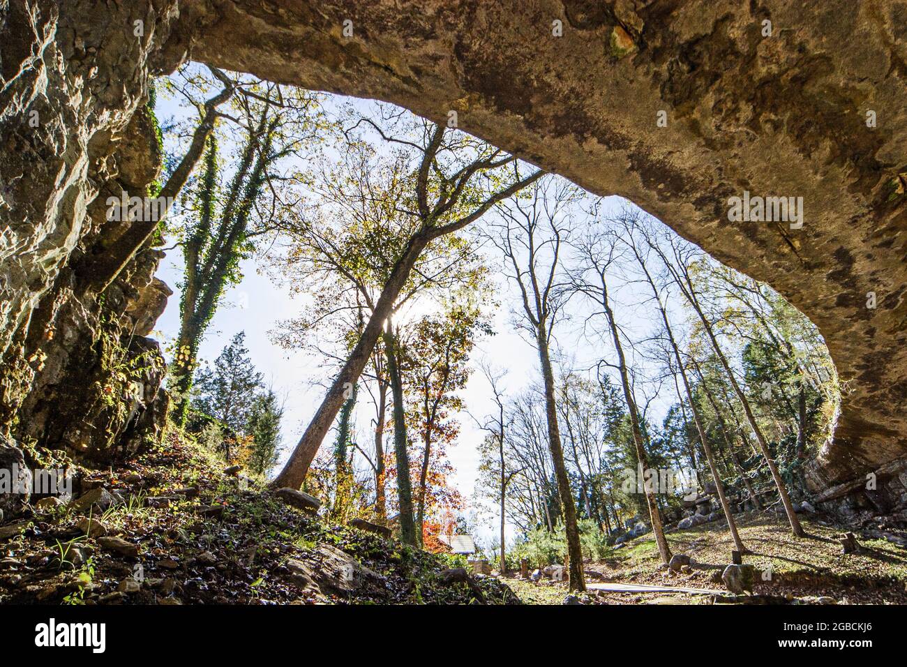 Alabama Grant Cathedral Caverns State Park cave entrance trees Stock