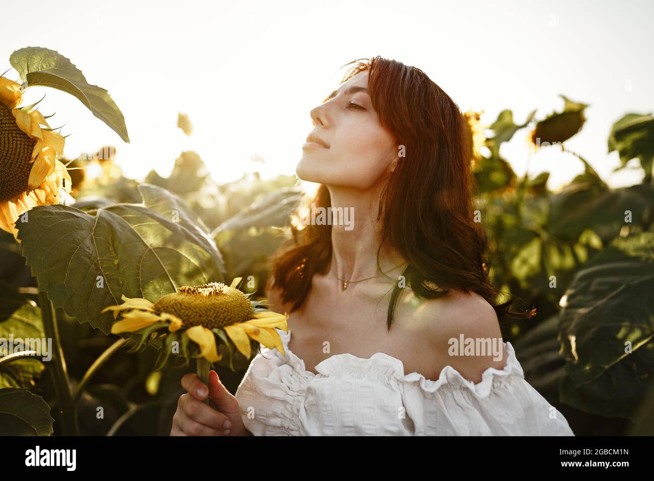 Portrait of beautiful young woman in a field of sunflowers Stock Photo ...
