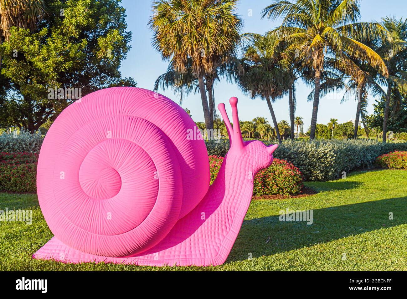Pink snail hi-res stock photography and images - Alamy