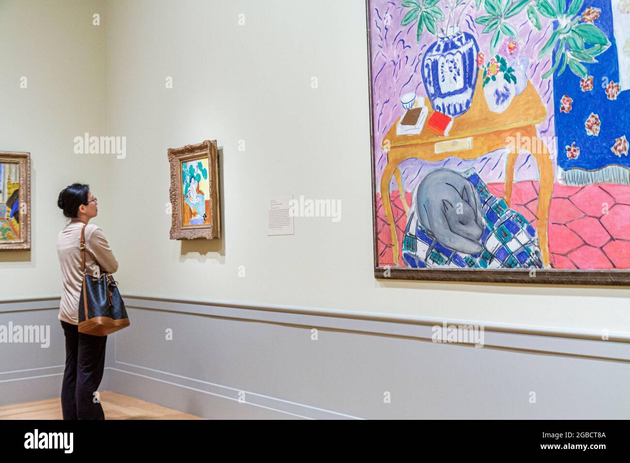 Maryland Baltimore Baltimore Museum of Art,Wyman Park gallery exhibit Cone collection,painting Henri Matisse woman female looking inside interior, Stock Photo