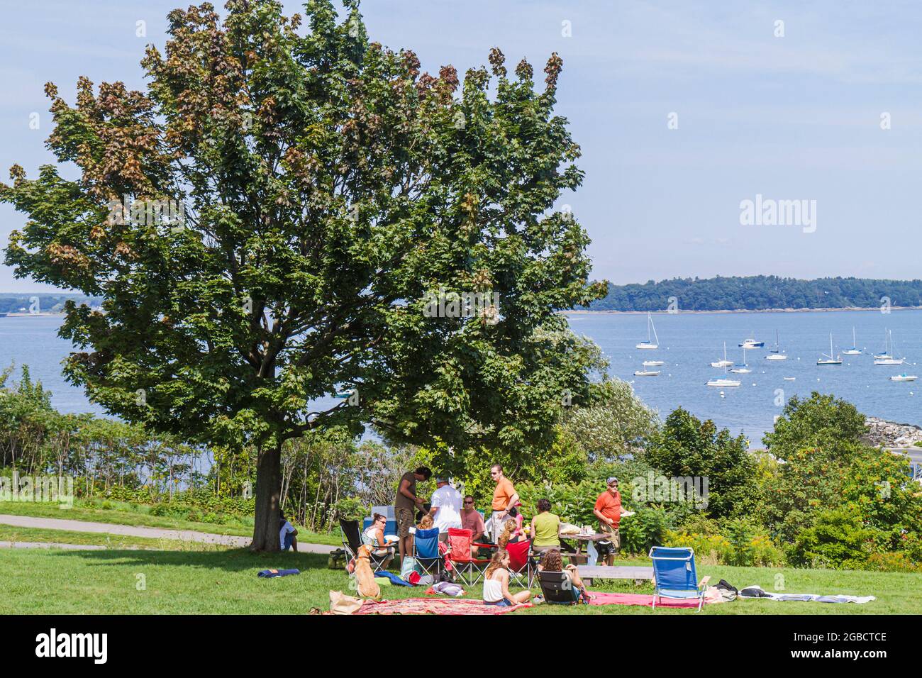 Portland Maine,Casco Bay water Eastern Promenade Park,scenic lawn family picnic tree trees, Stock Photo