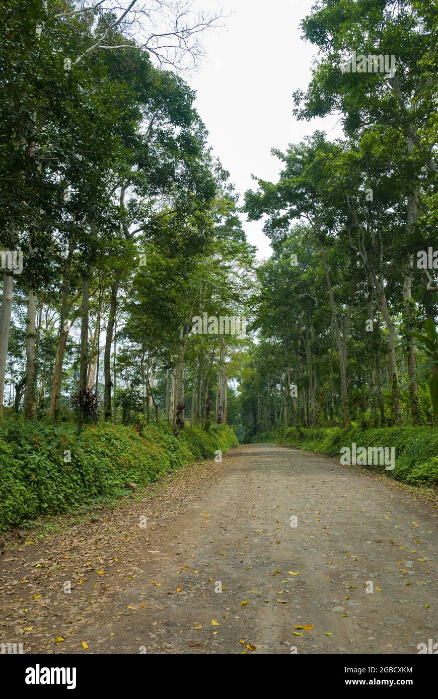 Highway in rural Guatemala, space to travel Stock Photo - Alamy