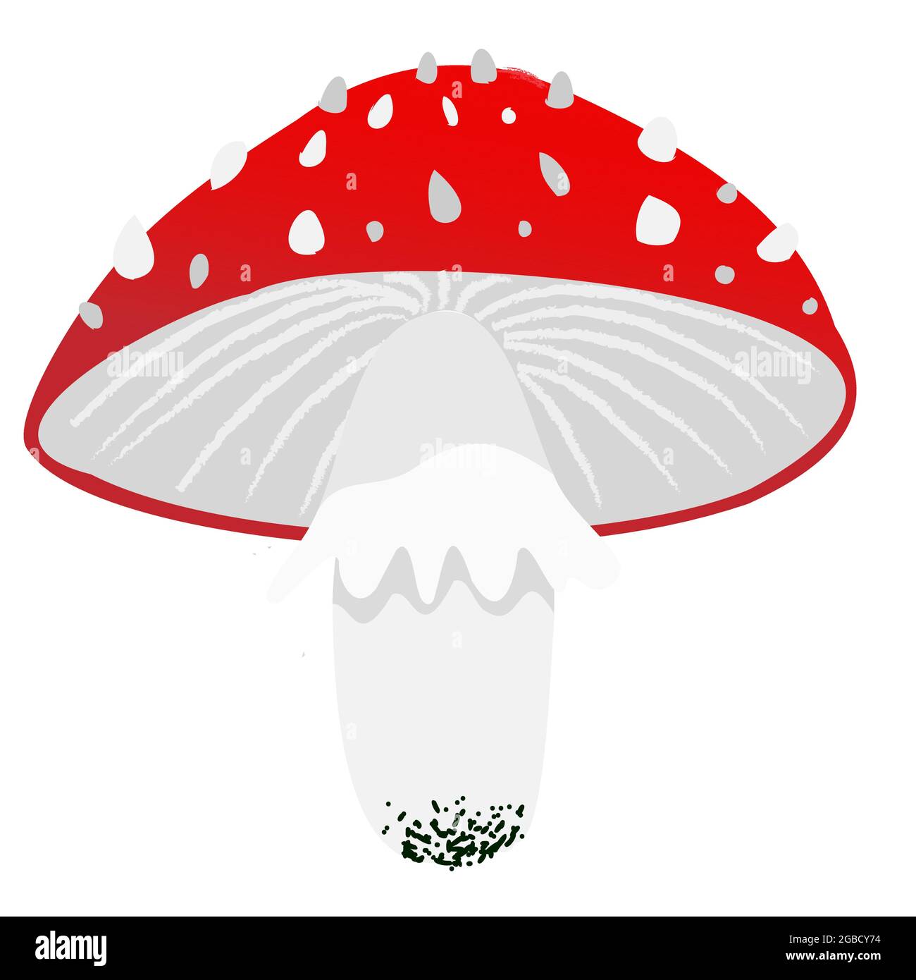 Amanita red mushroom in cartoon flat simple style. Vector illustration clipart isolated on white background Stock Vector