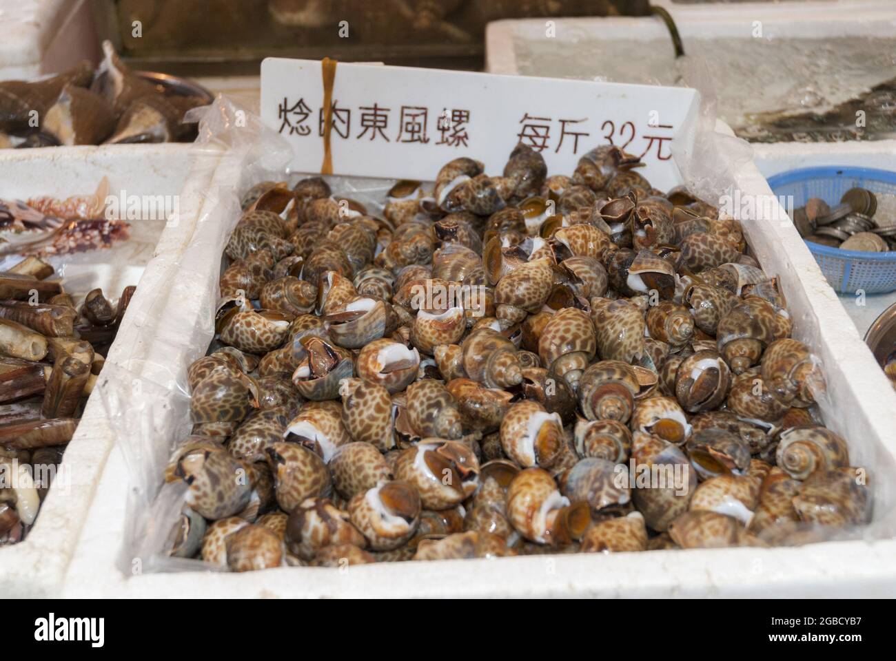 Live snails in Hong Kong market. Wet market Stock Photo Alamy