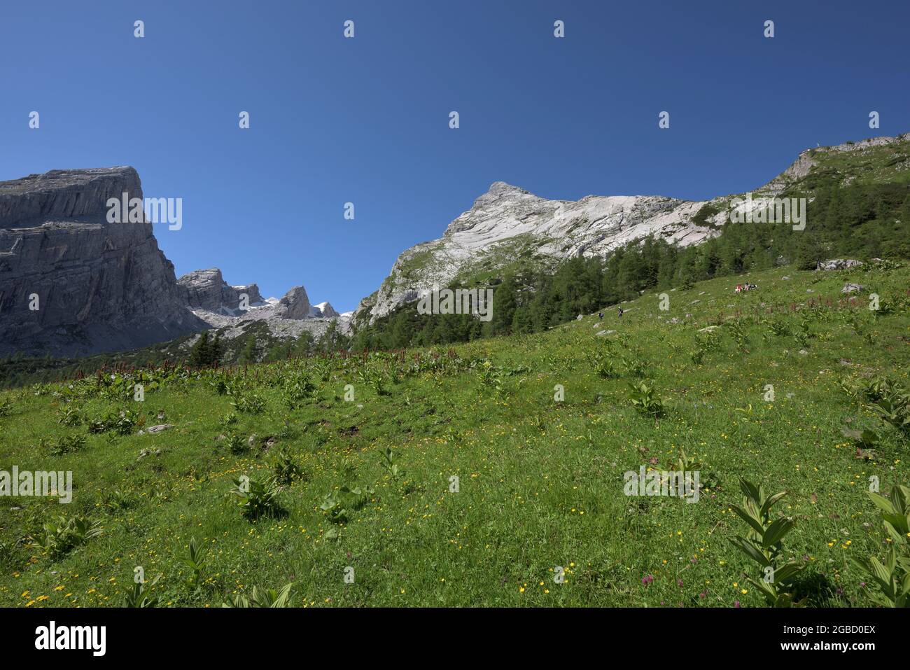 Wide view of the Watzmann mountain family with from left wife, small Watzmann, children and big Watzmann and Watzmannhaus mountain lodge, Ramsau, Berc Stock Photo
