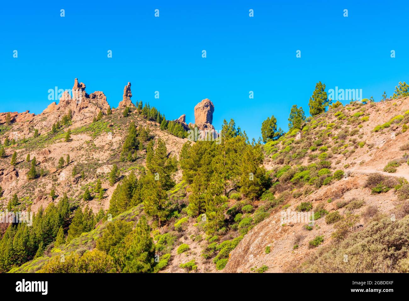 Footpath towards Roque Nublo on Gran Canaria, Canary Islands, Spain. Roque Nublo is a 67 meter tall monolith, very popular with tourists Stock Photo