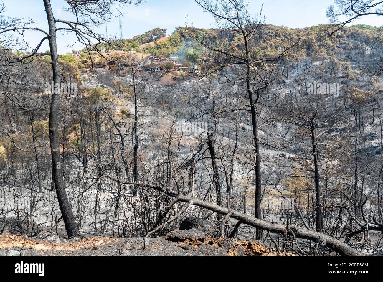 Area devastated by forest fires of July-August 2021 in Marmaris resort town of Turkey. View on August 2, 2021, with burnt houses in  the background Stock Photo