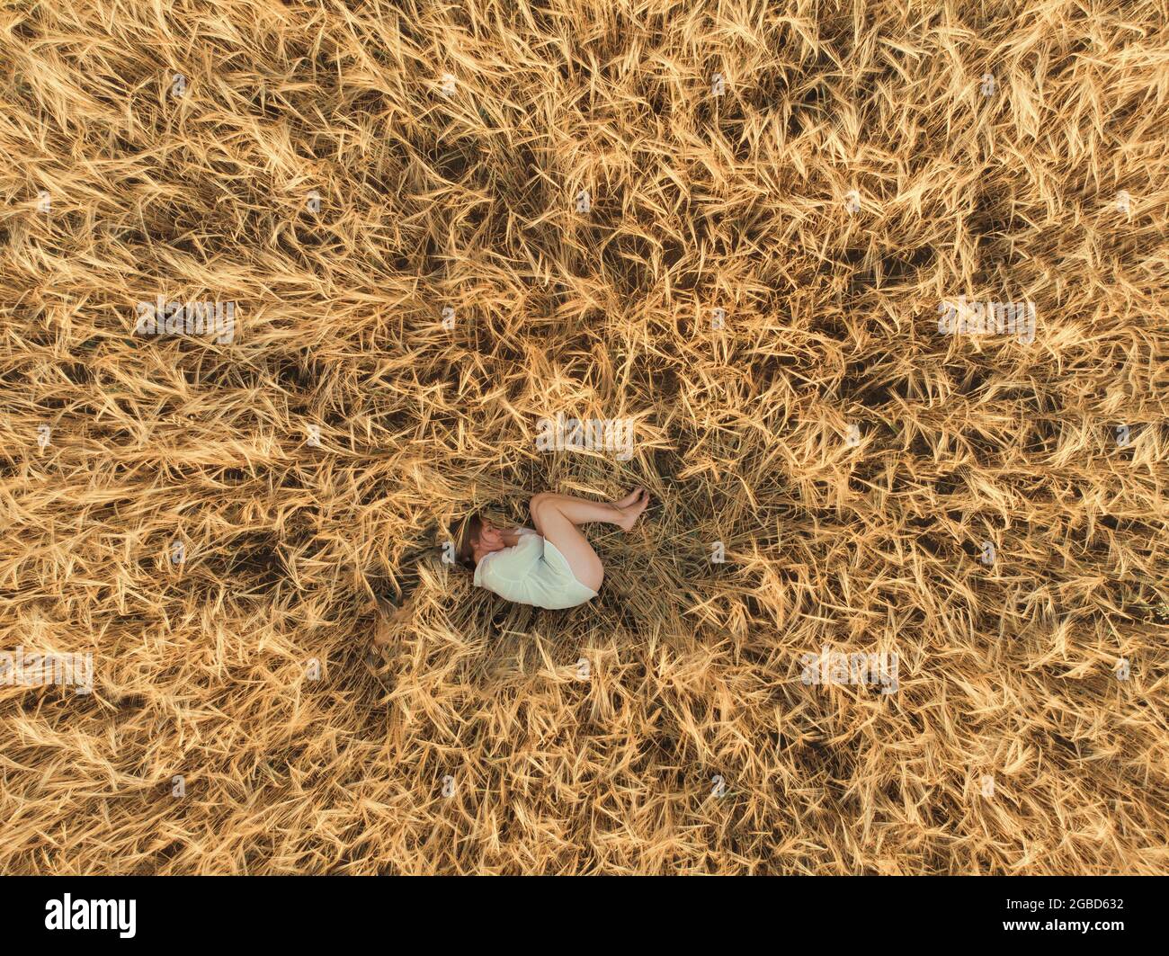 Aerial view of woman lying in the yellow field of wheat Stock Photo - Alamy