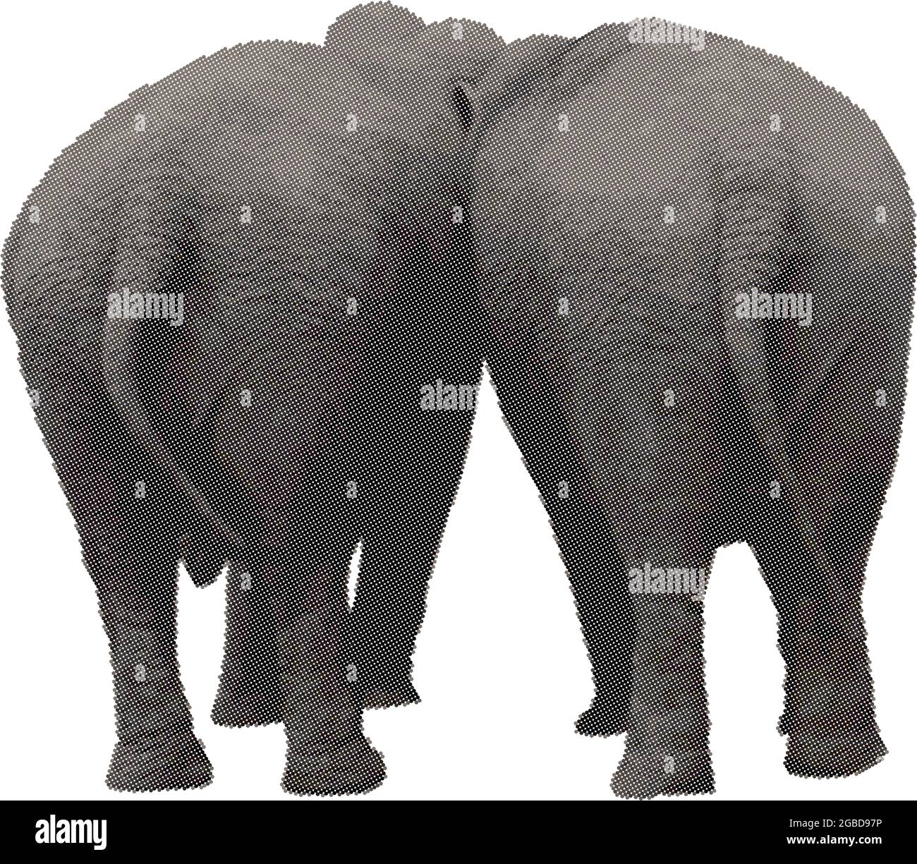 Two elephants in the back in a vector raster Stock Vector