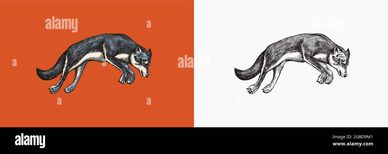 Logo wolf hi res stock photography and images Alamyjack wolfskin