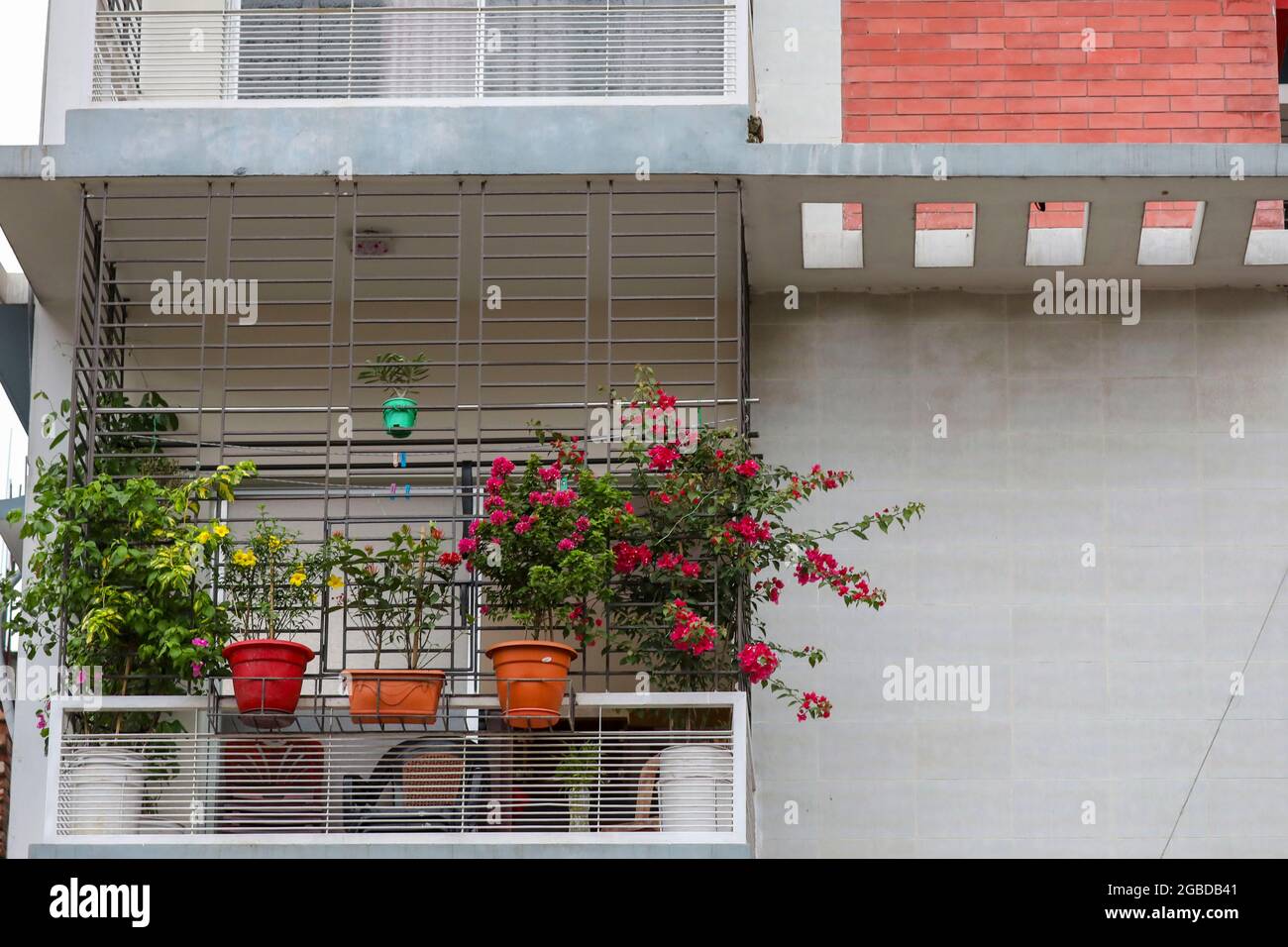 Flowers on a balcony of an apartment, Dhaka, Bangladesh Stock Photo