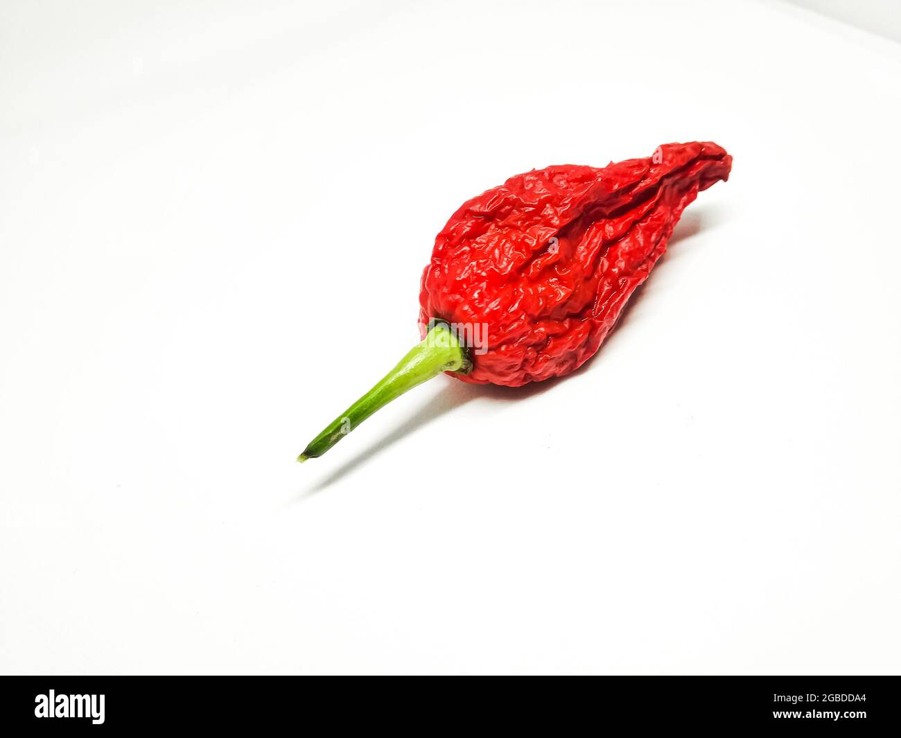 bhut jolokia ghost pepper isolated on white background. fresh Carolina Reaper. Stock Photo