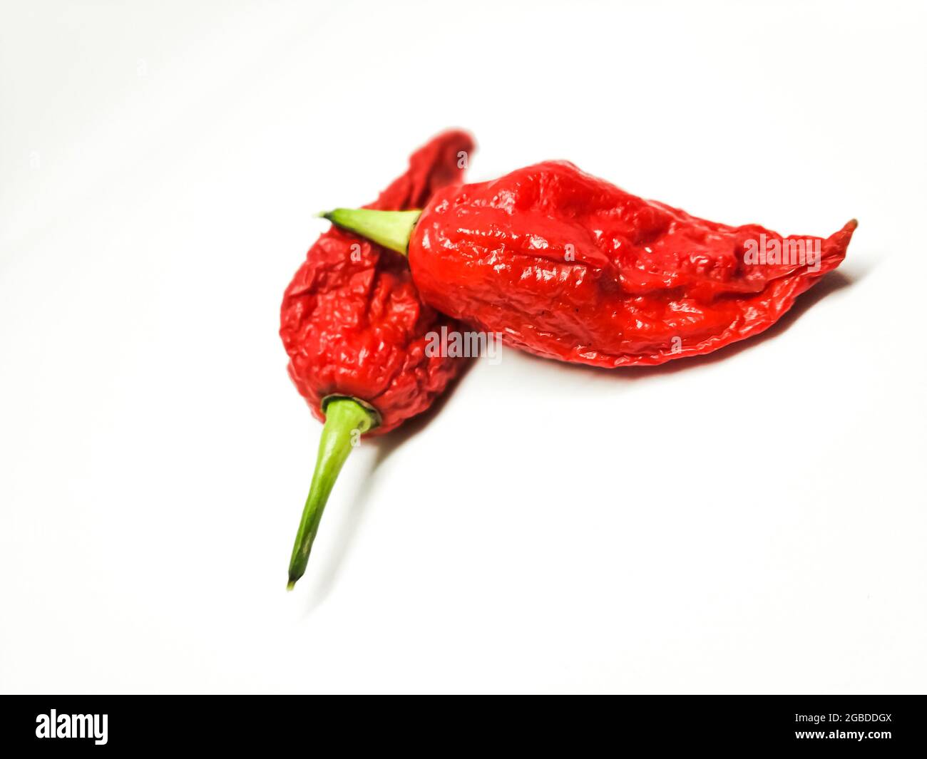 bhut jolokia ghost pepper isolated on white background. fresh Carolina Reaper. Stock Photo