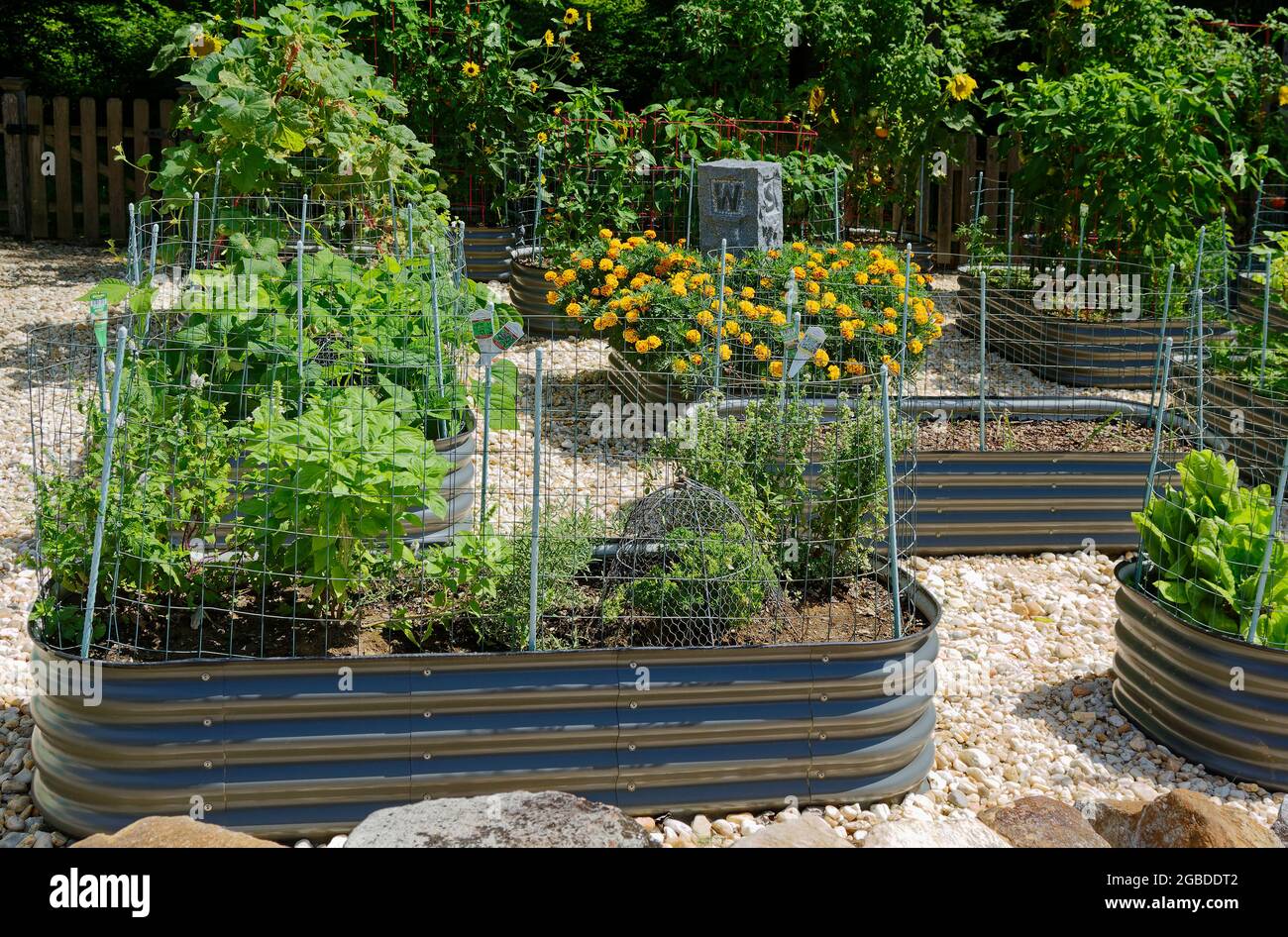 vegetable garden, food plants, healthy, raised beds, oval metal, chicken wire protection, pebble ground flowers, PA, Pennsylvania, USA, PR Stock Photo