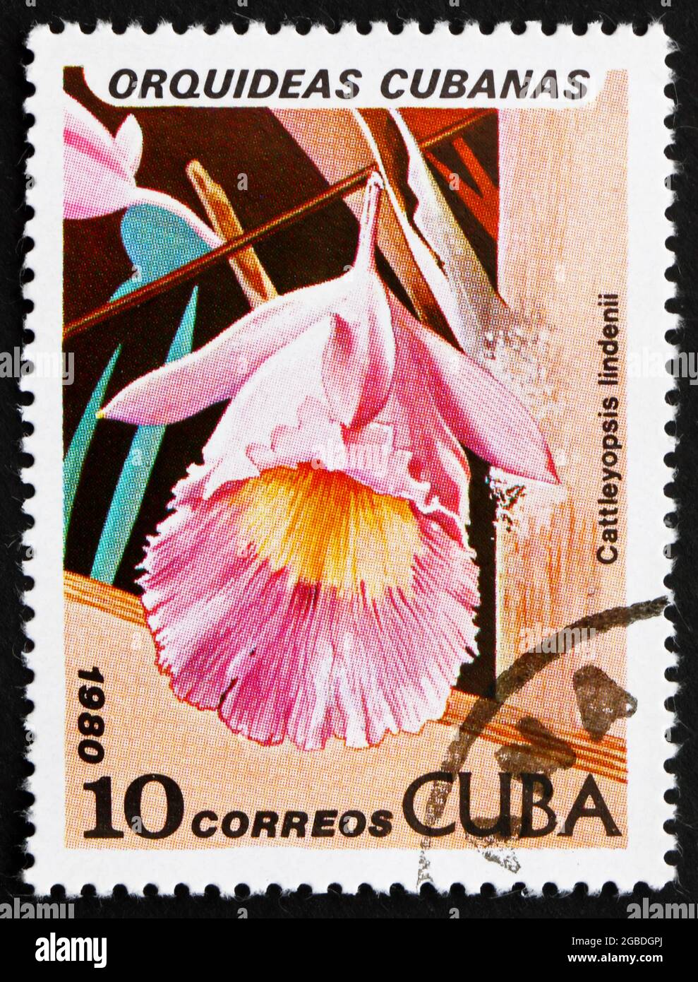 CUBA - CIRCA 1980: a stamp printed in the Cuba shows Linden’s Cattleyopsis, Cattleyopsis Lindenii, Orchid, circa 1980 Stock Photo