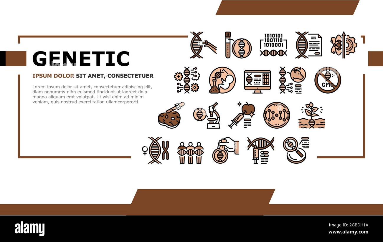 Genetic Engineering Landing Header Vector Stock Vector Image & Art - Alamy