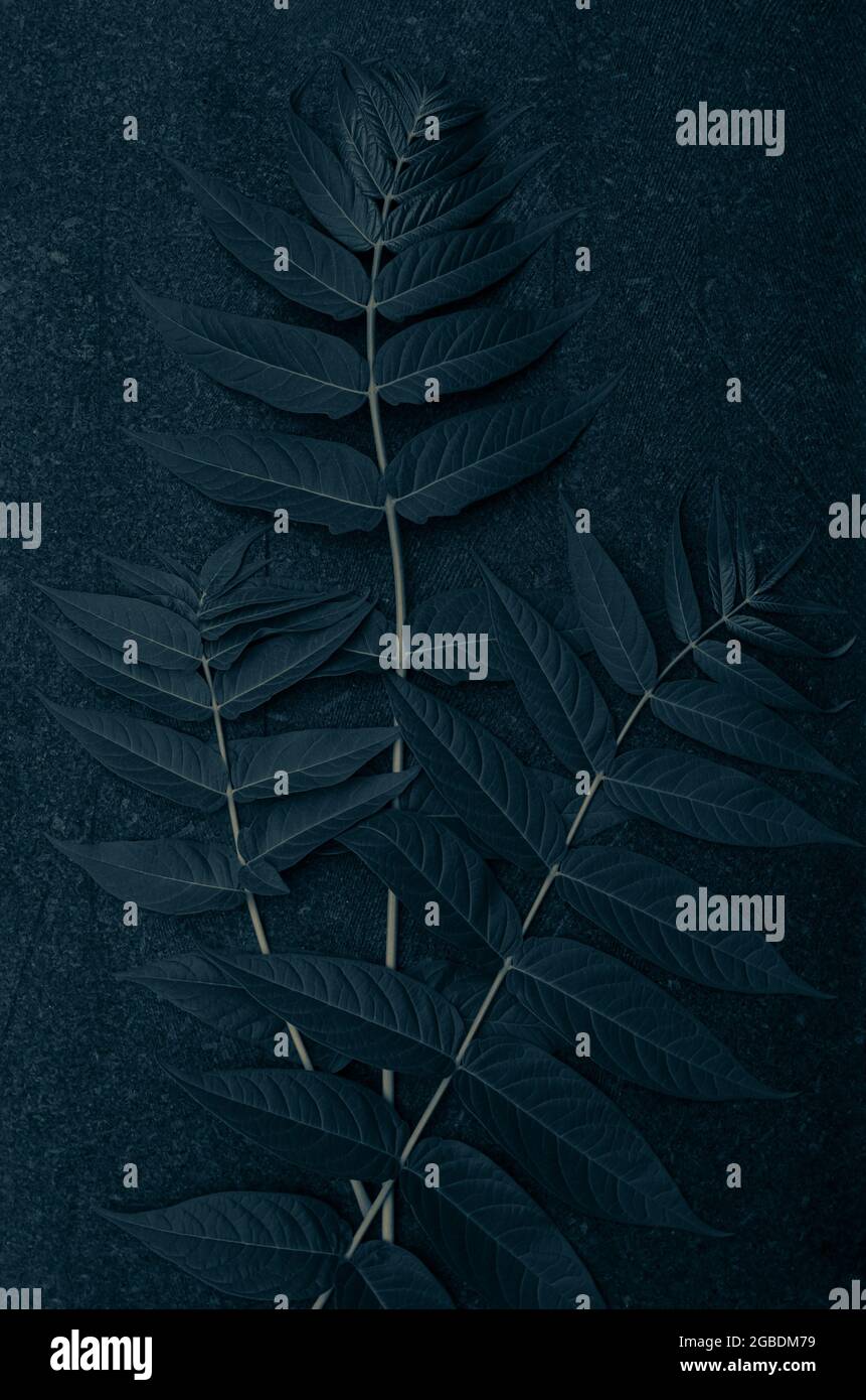 Gallery image with a fresh perspective