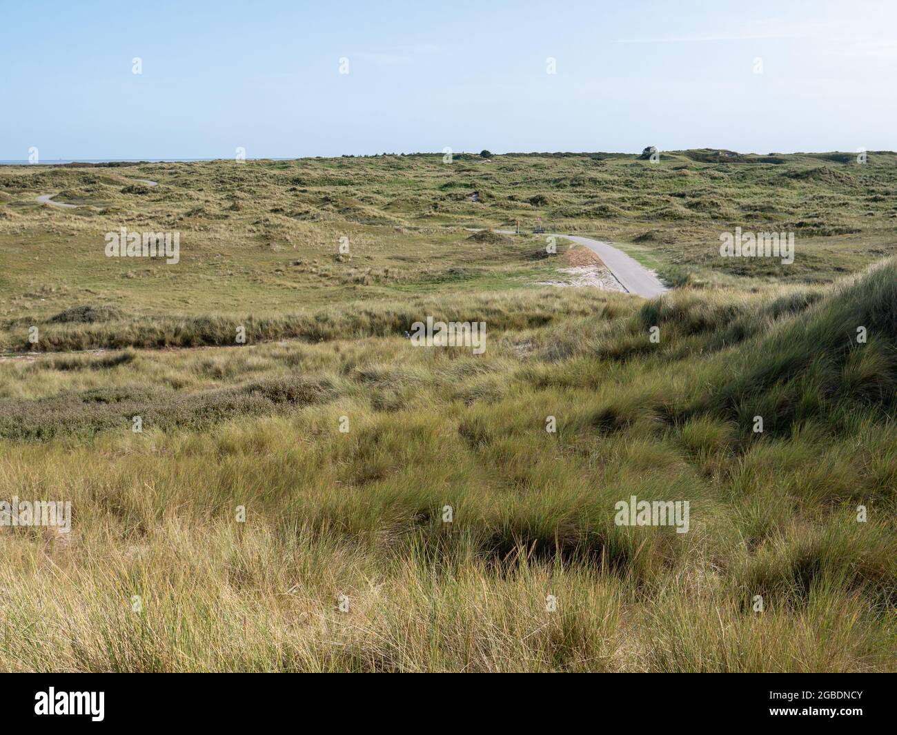 Dunes with bicycle path and marram grass in nature reserve of West Frisian island Vlieland, Friesland, Netherlands Stock Photo