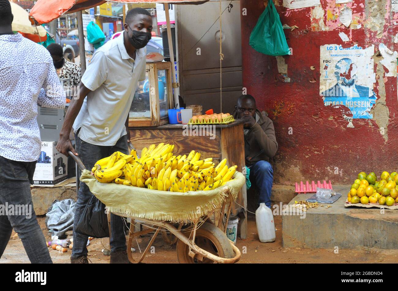 Isaac Musalwa who dropped out of school due to school fees is selling sweet bananas on a wheel burrow door to door. According to the government guidelines in Uganda people are urged to eat a lot of fruits. Uganda. Stock Photo