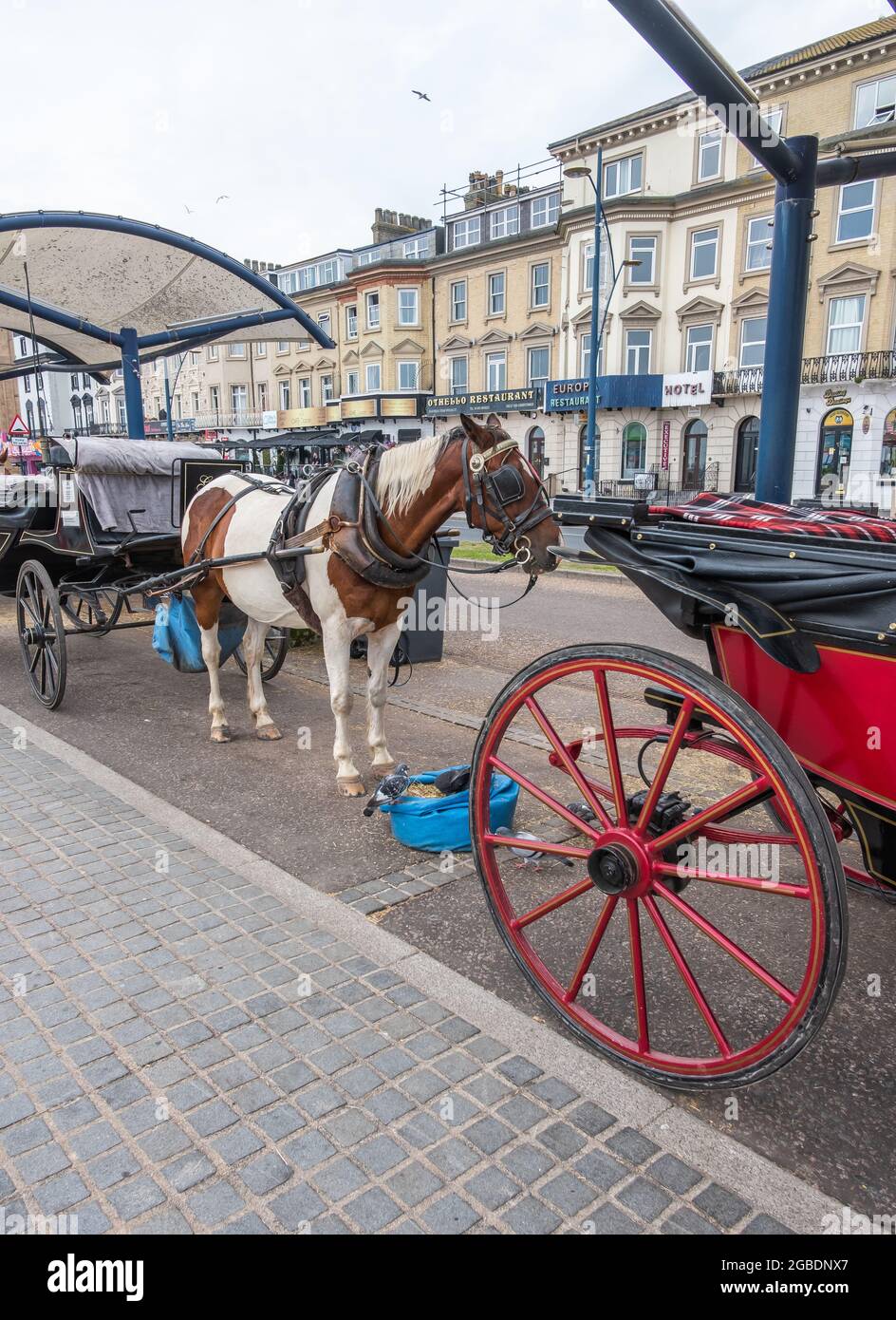 Great Yarmouth, Norfolk, UK July 12 2021. Traditional horse and
